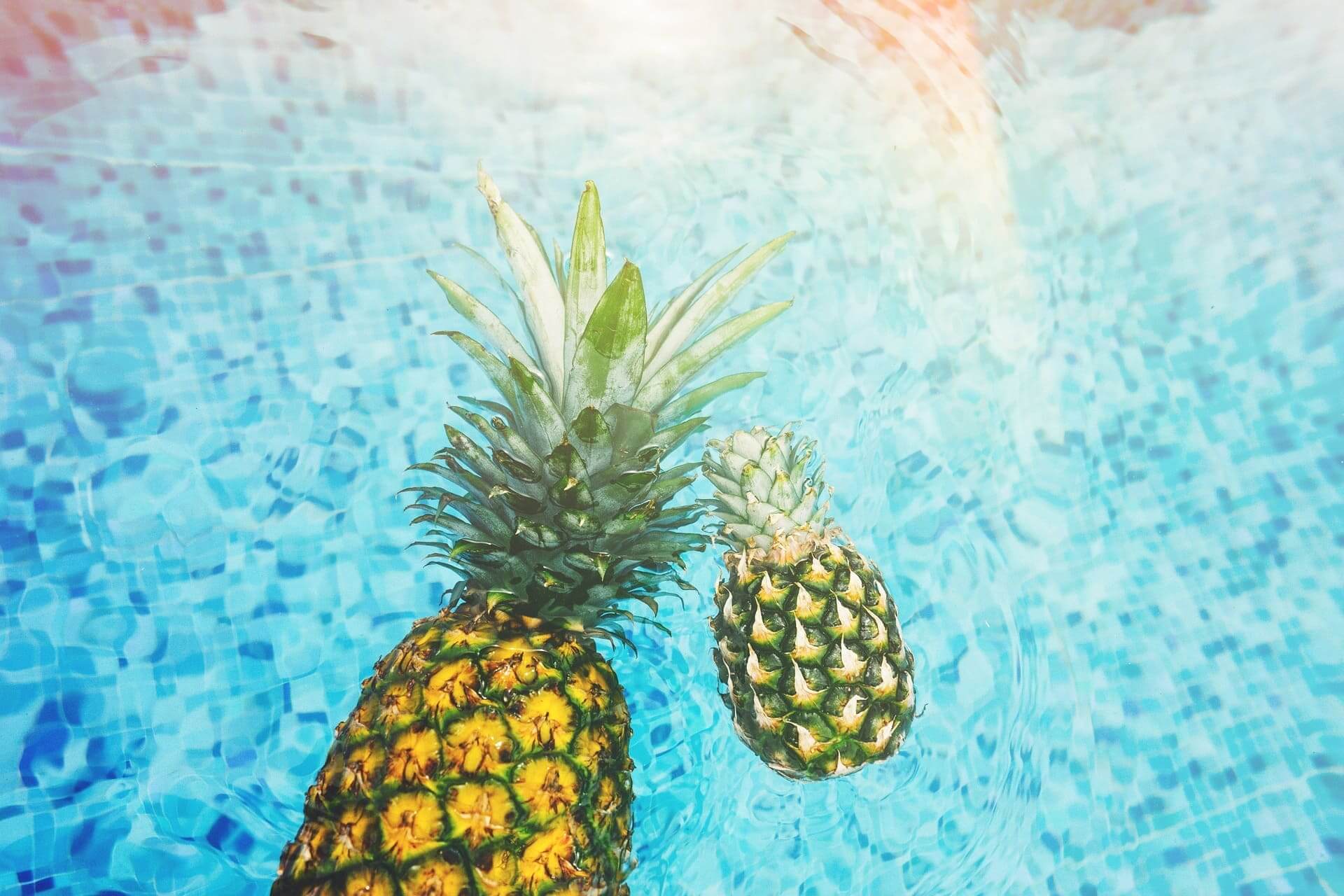 夏の画像