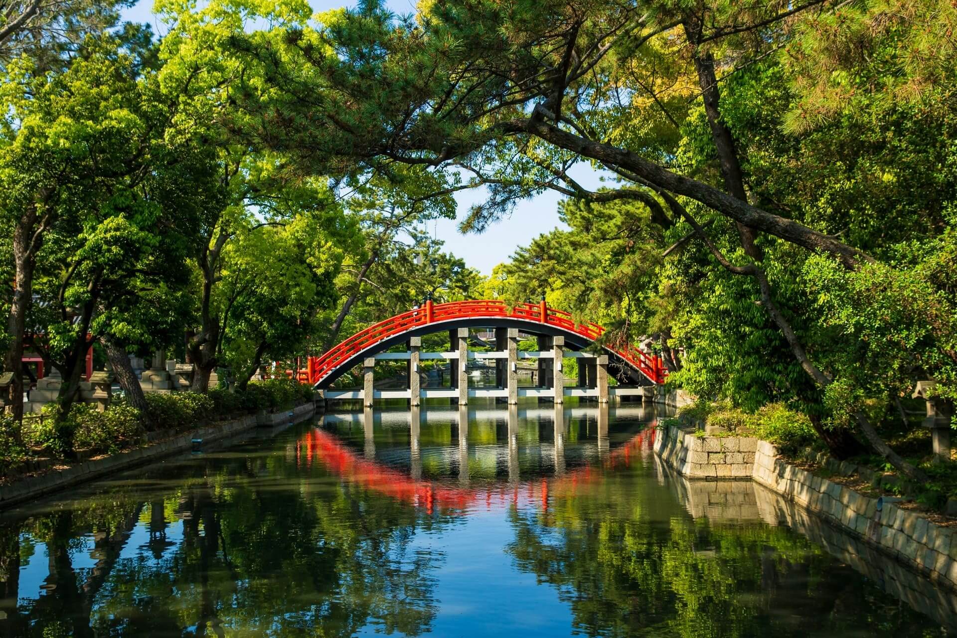 夏の画像